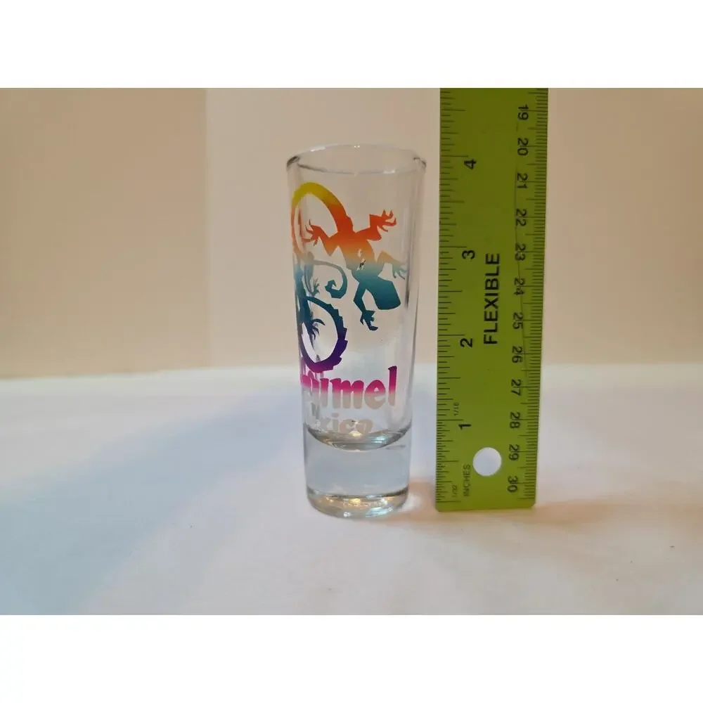 Cozumel Mexico Shot Glass 4
